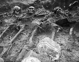 IDENTYFIKACJA GENETYCZNA MATERIAŁU KOSTNEGO Z RÓŻNYCH OKRESÓW HISTORYCZNYCH 141 Ryc. 1. Grób zbiorowy żołnierzy radzieckich Fig. 1. Mass grave of Soviet soldiers Ryc.