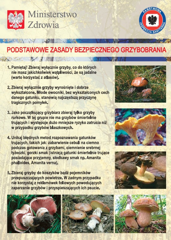 7. PODSTAWOWE ZASADY