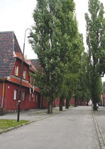działań kulturotwórczych. Bogactwo historyczno-kulturowe Górnego Śląska wpływa także na różnorodność przygotowywanych przez nas projektów.