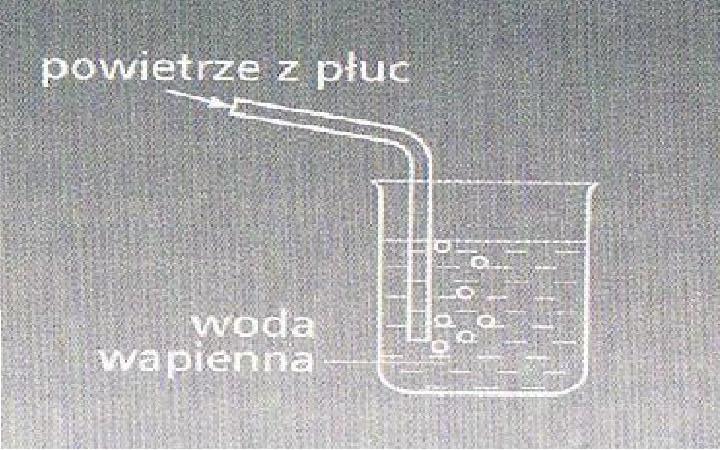 DOŚWIADCZENIA CHEMICZNE Doświadczenie 1 Temat: Wykrywanie obecności CO 2 do małej zlewki z przygotowaną wcześniej wodą wapienną (Ca(OH) 2 mieszamy z wodą i pozostawiamy na kilka minut, nad osadem