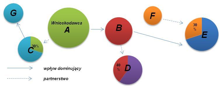 Rys. 11. Wielopoziomowe relacje partnerstwa i powiązania.