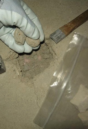 POBÓR PRÓBEK I PRZYGOTOWANIE Pobór próbki bezpośrednio do woreczka plastikowego Na podstawie doświadczeń w postępowaniu z próbkami jastrychu, zalecamy podczas pobierania próbek pośpiech i nietracenie