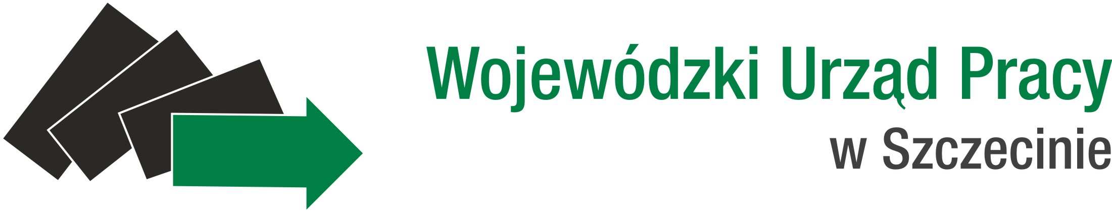 PROJEKTANT STRON INTERNETOWYCH Centrum Informacji i Planowania Kariery Zawodowej w Szczecinie ul. A.