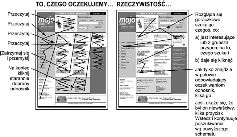 Dlaczego to, czego szukasz, odnajdujesz zawsze na samym końcu? JAK NAPRAWDĘ KORZYSTAMY Z INTERNETU?