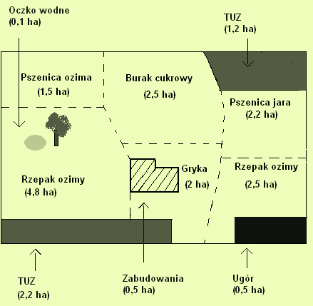 przedstawionych danych, na