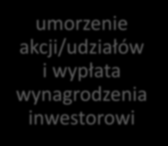 Sprzedaż inwestorowi branżowemu Wyjście z inwestycji