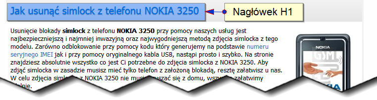 Nagłówek H1 Obecna realizacja Omawiana strona z opisem usługi nie posiada nagłówka H1.