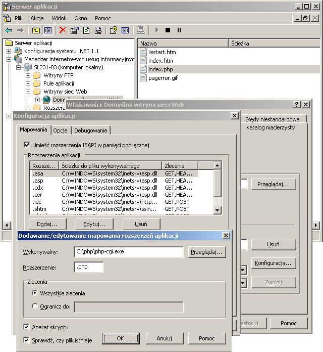 Instalacja usług sieciowych WWW/FTP z wykorzystaniem IIS w Windows Serwer 2003 10/16 6.