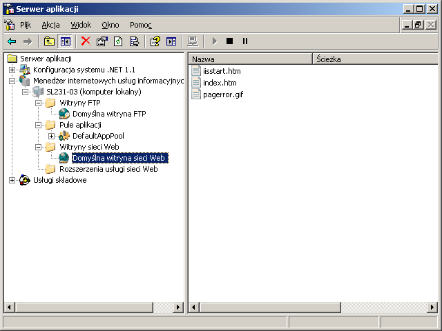 Instalacja usług sieciowych WWW/FTP z wykorzystaniem IIS w Windows Serwer 2003 6/16 9.
