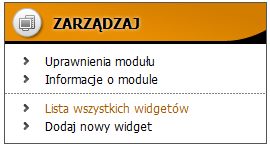 W drugim formularzu ustawienia widgetu opcje mogą się zmieniać, ponieważ są zależne od typu widgetu.