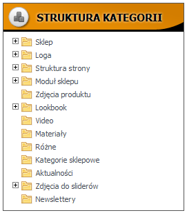 Lista plików Aby zobaczyć listę dodanych plików należy kliknąć w lewym menu przycisk pojawi się lista plików.. Po chwili Id unikatowy numer pliku; Typ rozszerzenie pliku, np.