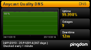 MONITORING i SUPPORT Państwa Domeny oraz ruch DNS są automatycznie monitorowane przez 24 godziny na dobę przez cały rok.