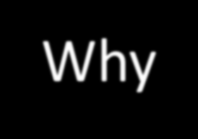 Why did repo borrowing grow so fastly?
