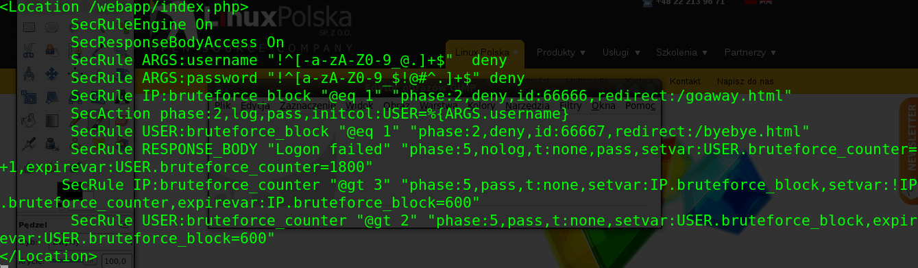 WAF modsecurity: wykrywanie i ochrona
