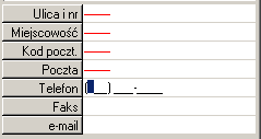 Po umieszczeniu kursora w określonym polu pojawia się jego pełna nazwa. Poszczególne pola zależnie od informacji, które powinny zawierać są wymagane lub nie.