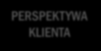 Perspektywy Jakie muszą być nasze wyniki finansowe? PERSPEKTYWA FINANSOWA Jak powinni postrzegać nas klienci?