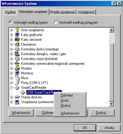Rys. 31 Czytnik na liście urządzeń w Panel Sterowania \System Rys.