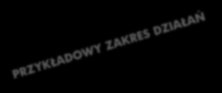 Możliwe funkcje w projekcie Komitet Sterujący Kierownik Projektu Kierownik Biznesowy Kierownik Techniczny