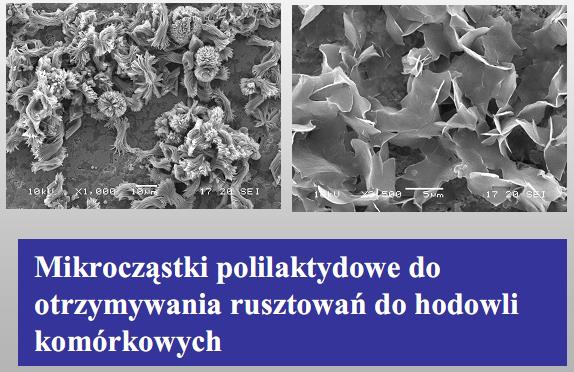 Rusztowania (skafoldy) Drobno zmielone sole