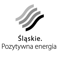 VI edycja realizowanego w ramach Programu Operacyjnego Kapitał Ludzki 2007-2013 Projekt