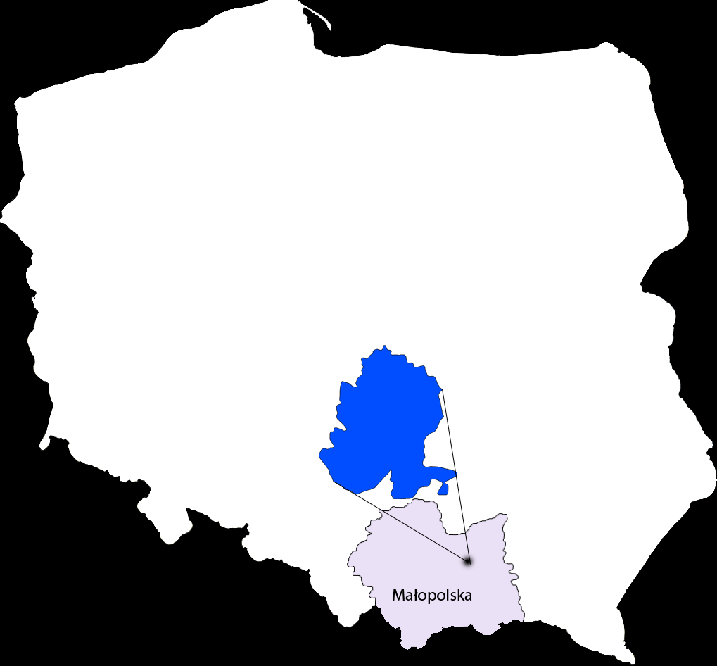 8.3 POIG a budowa sieci Borzęcin, woj.