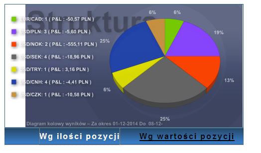 Wykres kołowy struktury kapitału umożliwia nam szybki podgląd naszego zaangażowania kapitału.