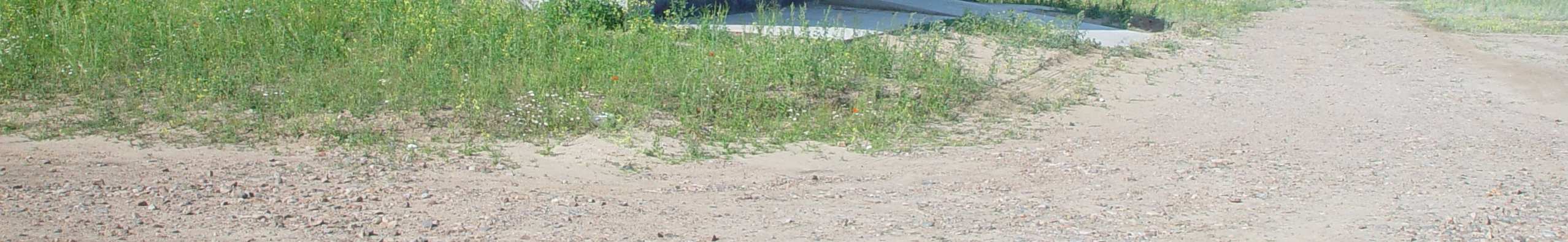 Przy wzroście temperatury w kurniku powyŝej optymalnej dla fazy chowu, szczególnie latem, włączane są dodatkowo poszczególne sekcje wentylatorów umieszczonych w szczytowej ścianie kurnika.