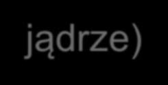 Wybrane rodzaje wirtualizacji Pełna wirtualizacja realizowana przez hypervisor Typu 1 i Typu 2 wirtualizacja dowolnego niezmodyfikowanego OS problem z realizacją uprzywilejowanych instrukcji jądra