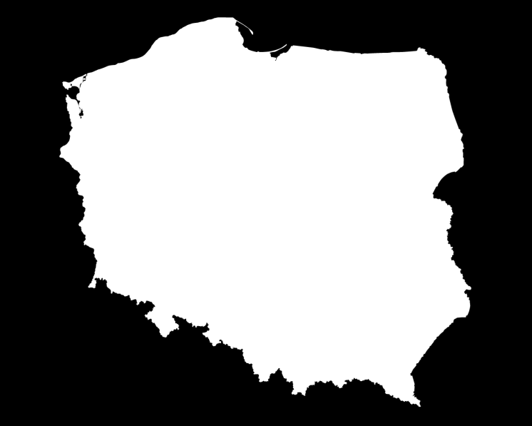Yury Tsykun 1.765.000 akcji 7,96% *razem ze spółką NetmediaCapital Ltd.