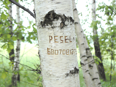 Rysunek 7. Sprawdzanie numeru PESEL. Zrzut ekranowy strony internetowej: http://www.kalkulatory.gofin.pl/sprawdzanie-pesel-weryfikacja-pesel,12.