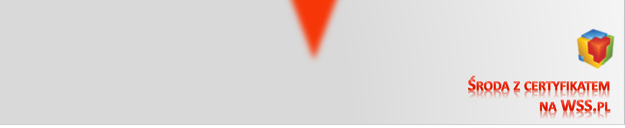 zastąpić tradycyjne połączenia VPN