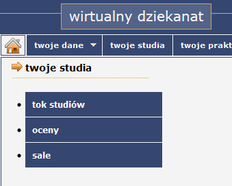 Zakładka tok studiów prezentuje wszystkie zaplanowane w