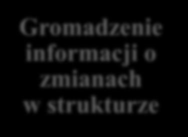 Procedury: Rozwój struktury bazy danych Przemyślana konwencja nazewnicza Proces