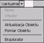 2. Plik Menu Plik posiada dwie opcje podrzędne, które uaktywniają się naprzemiennie: Otwórz i Uaktualnienie Utworzenie nowego pliku pomiarowego możliwe jest po wybraniu Pliki/Nowy.