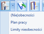 Podręcznik Użytkownika systemu Comarch OPT!MA Str. 79 6 Czas pracy i nieobecności pracownika Z listy pracowników (Kadry) oraz z poziomu Formularza danych kadrowych pracownika dostępny jest przycisk.