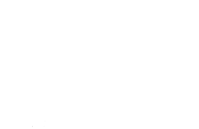 A debug token (PBDT) plik, którego