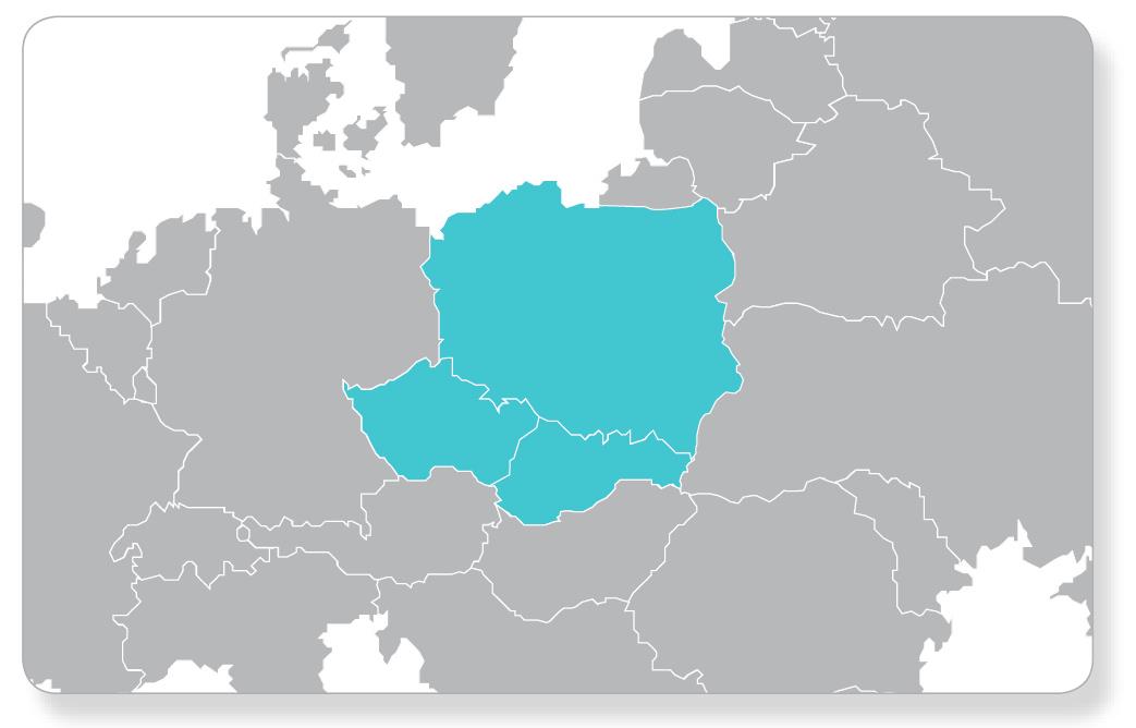 rynkowych dzięki unikalnym autorskim produktom finansowym Struktura Grupy Kapitałowej Magellan Grupa Magellan Magellan S.A. Magellan Česká republika s.r.o.(czechy) Magellan Slovakia s.