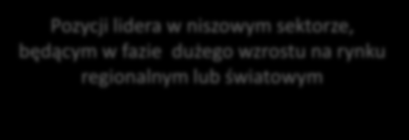 Strategia inwestycyjna funduszu Internet Ventures Fundusz będzie inwestował w spółki budujące swą wartośd poprzez: Fundusz będzie inwestował w spółki budujące swa przewagę konkurencyjną poprzez