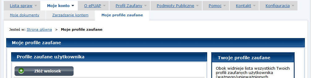 Należy również wybrać rodzaj konta to znaczy czy jest to konto: osoby fizycznej, osoby fizycznej prowadzącej działalność gospodarczą, reprezentanta osoby prawnej, reprezentanta jednostki