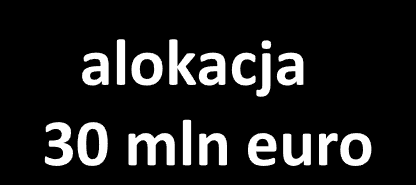 Oś priorytetowa 4. Regionalna polityka energetyczna Poprawa efektywności energetycznej w przediębiortwach (PI 4.