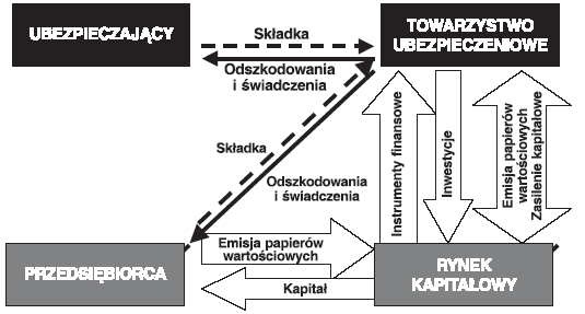 Schemat 1 Proces tworzenia i transformacja kapitału Źródło: T.