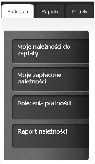 Dodatkowym parametrem jest liczba dni przed terminem płatności, kiedy system ma przypominać o nadchodzących płatnościach. Wprowadzone informacje należy zapisać [Zapisz]. 3. Płatności.