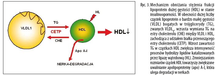 Zaburzenia metabolizmu lipoprotein w