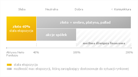 STRATEGIA INWESTYCYJNA Źródło: http://tfi.