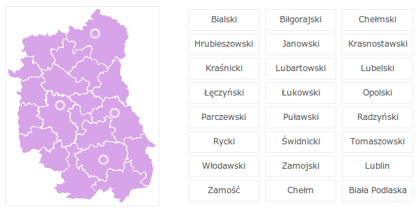 6. Gdy ukończysz wszystkie te czynności, kliknij przycisk Dodaj, a następnie odczekaj chwilę, gdyż zależnie od wielkości dodawanego pliku oraz przepustowości Twojego łącza jego transfer na nasz