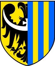 KOMUNIKAT I Celem Konferencji jest przybliżenie najnowszych koncepcji teoretycznych i stanu badań nad samostanowieniem osób z niepełnosprawnością intelektualną w Polsce i na świecie, a w