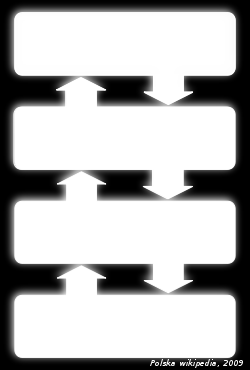 System operacyjny (Operating System, OS) to program nadzorujący pracę wszystkich