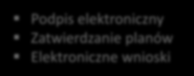 elektroniczny