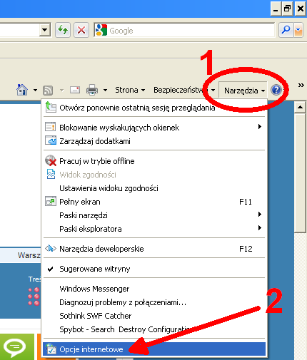 3. Szczegółowa konfiguracja przeglądarki Internet Explorer Aby dostać się do baz danych z domu za pomocą przeglądarki Internet Explorer należy, po uruchomieniu programu, wybrać znajdującą się po