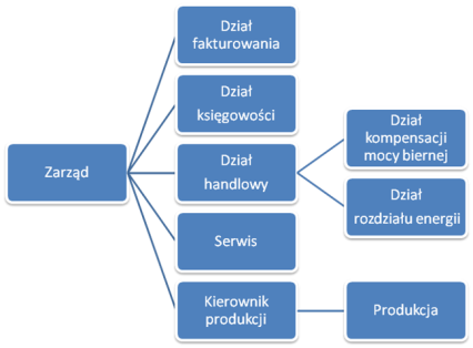 Definicja struktury przedsiębiorstwa cd.